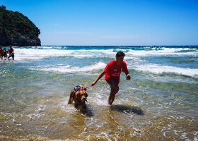 Gaeta - Per evitare un mare di guai 2018!