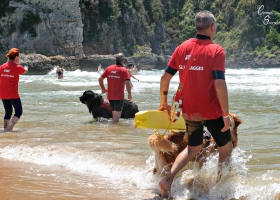 Gaeta - Per evitare un mare di guai 2018!