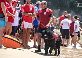 Gaeta - Per evitare un mare di guai 2018!