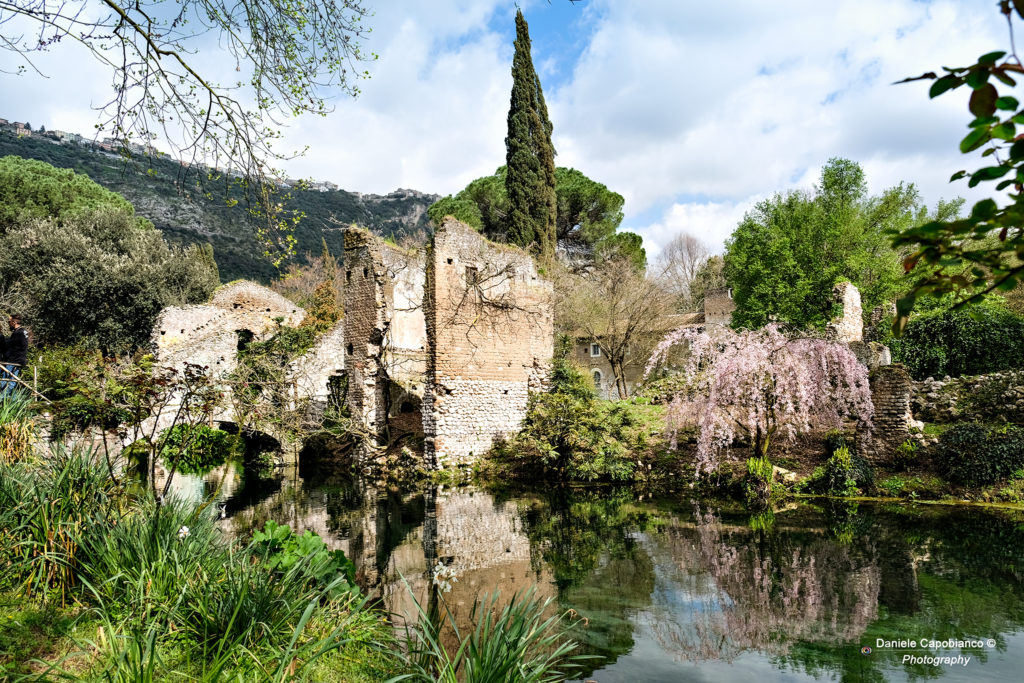 DSF9672-1024x683 Il Giardino di Ninfa - Fondazione Roffredo Caetani