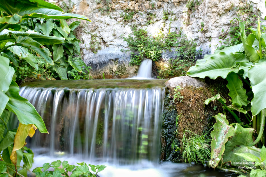 DSF9784-1024x683 Il Giardino di Ninfa - Fondazione Roffredo Caetani