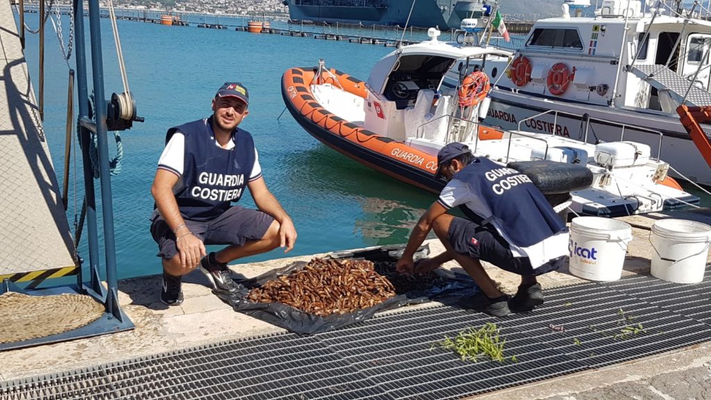 Pescatore di frodo di datteri di mare bloccato dalla Guardia Costiera