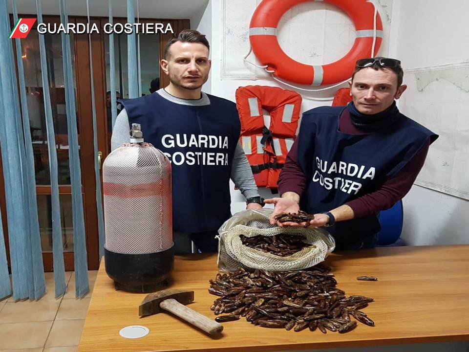 foto1 Gaeta la Guardia Costiera dichiara guerra ai predoni del mare "datterari"