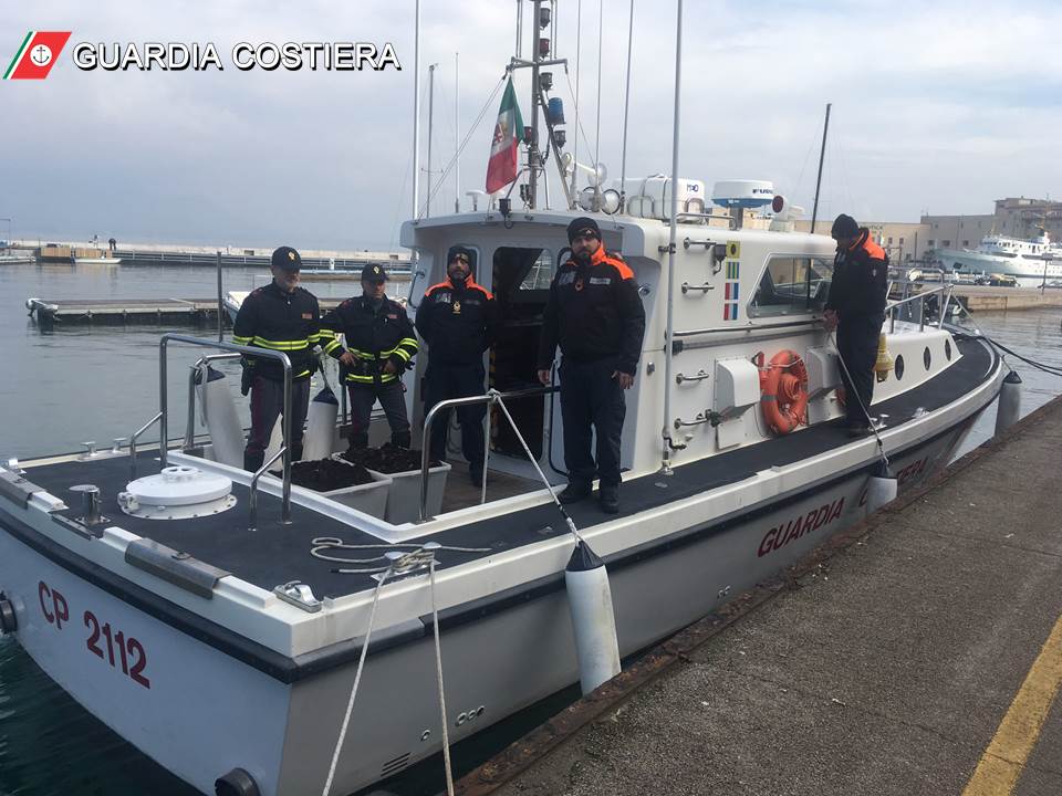 ricci1-1 Guardia Costiera sequestro di ricci di mare e sanzioni per oltre 1000 Euro